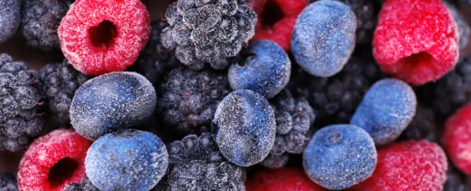 Brothers International brings a wealth of experience to manufactures looking for a reliable IQF fruit ingredient supplier.