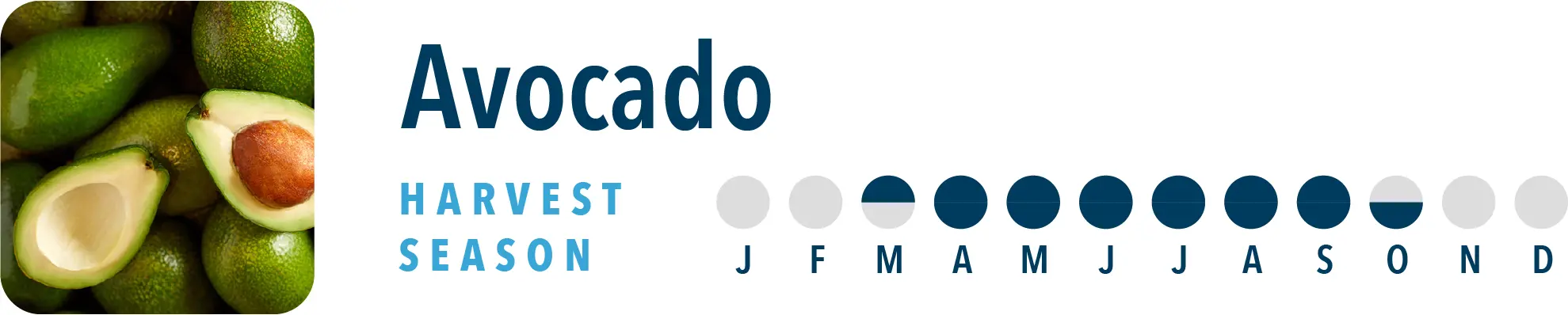 Avocado Harvest Season Brothers International is a avocado ingredient supplier, including avocado puree and avocado IQF.