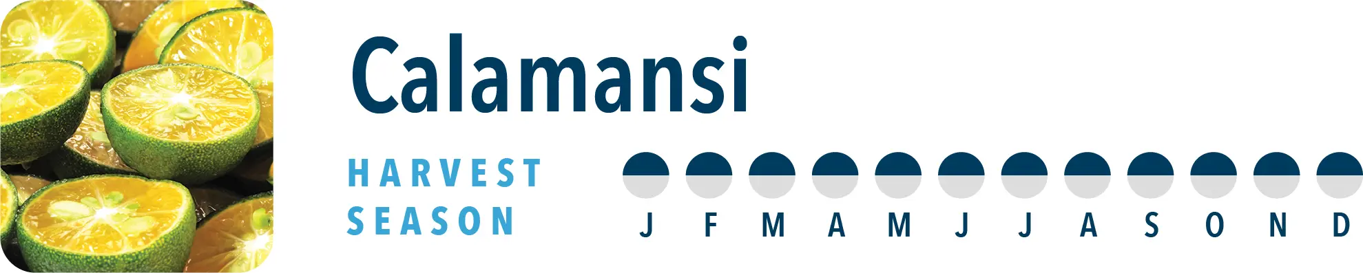Calamansi Harvest Season Brothers International is a calamansi ingredient supplier, including calamansi juice concentrate and calamansi puree.