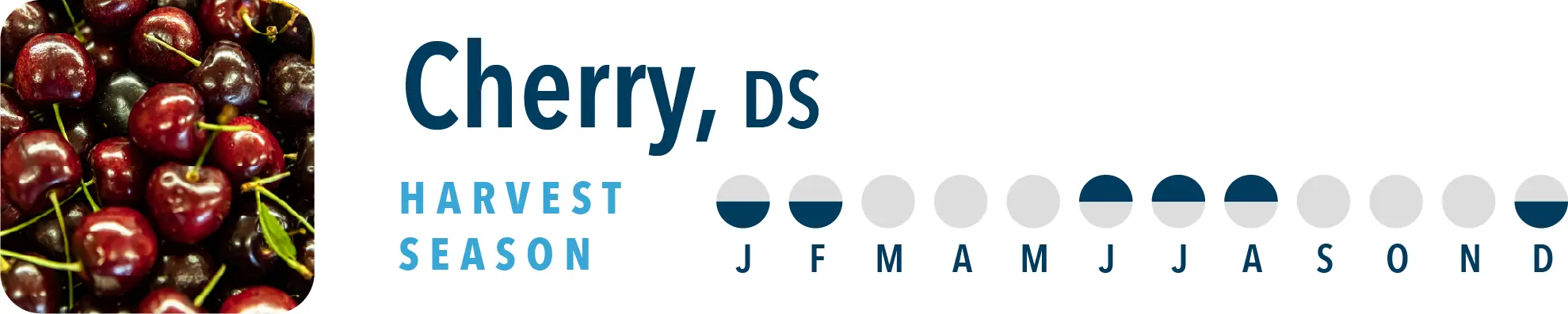 Cherry, DS Harvest Season Brothers International is a cherry ingredient supplier, including cherry NFC juice and cherry juice concentrate.