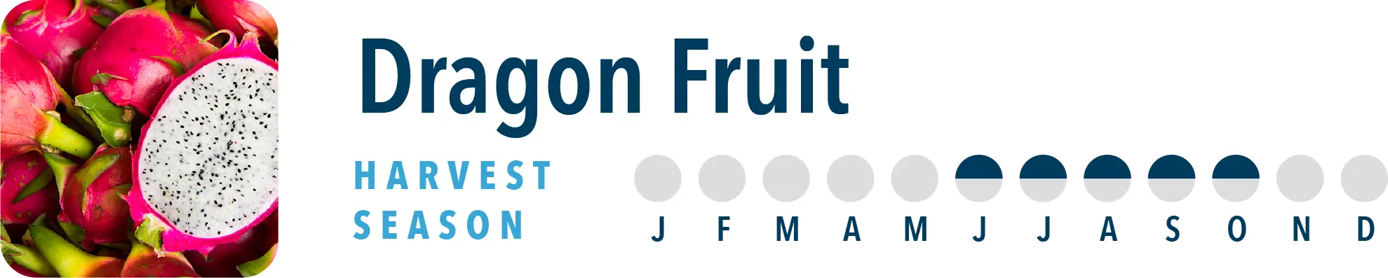 Dragon Fruit Harvest Season Brothers International is a dragon fruit ingredient supplier, including dragon fruit juice concentrate.