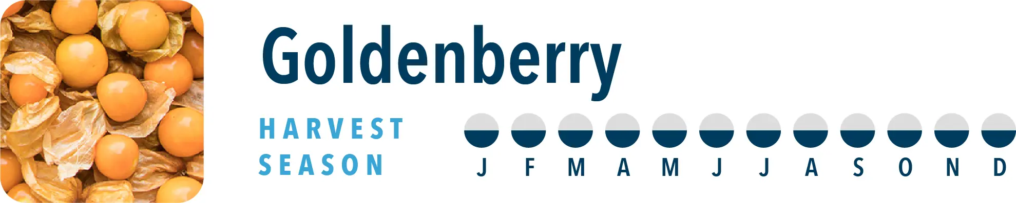Goldenberry Harvest Season Brothers International is a goldenberry ingredient supplier, including goldenberry juice and goldenberry puree.