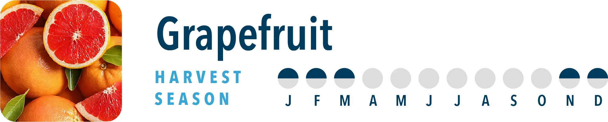 Grapefruit Harvest Season Brothers International is a grapefruit ingredient supplier, including grapefruit NFC juice, grapefruit juice concentrate.